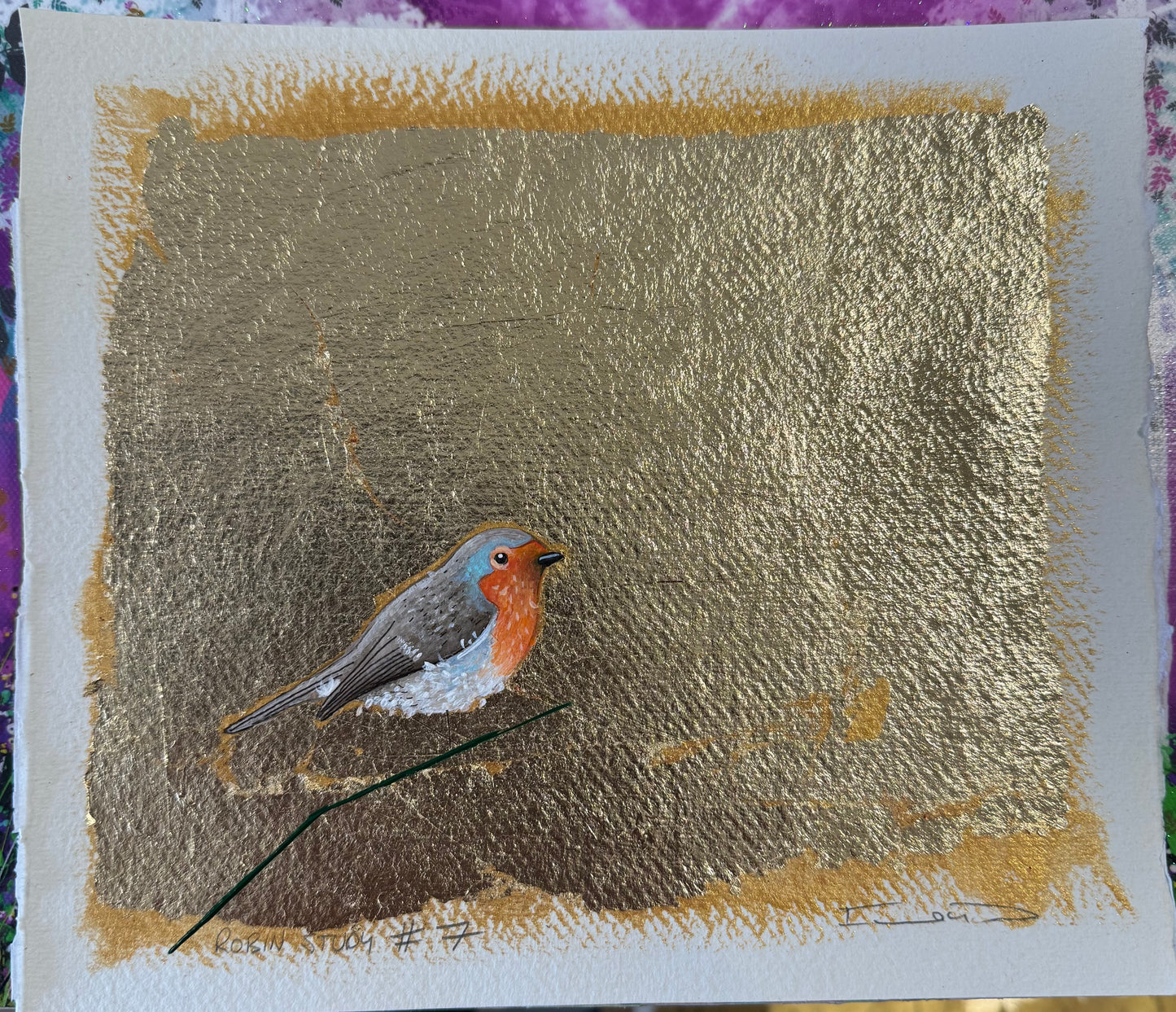 Robin study #7