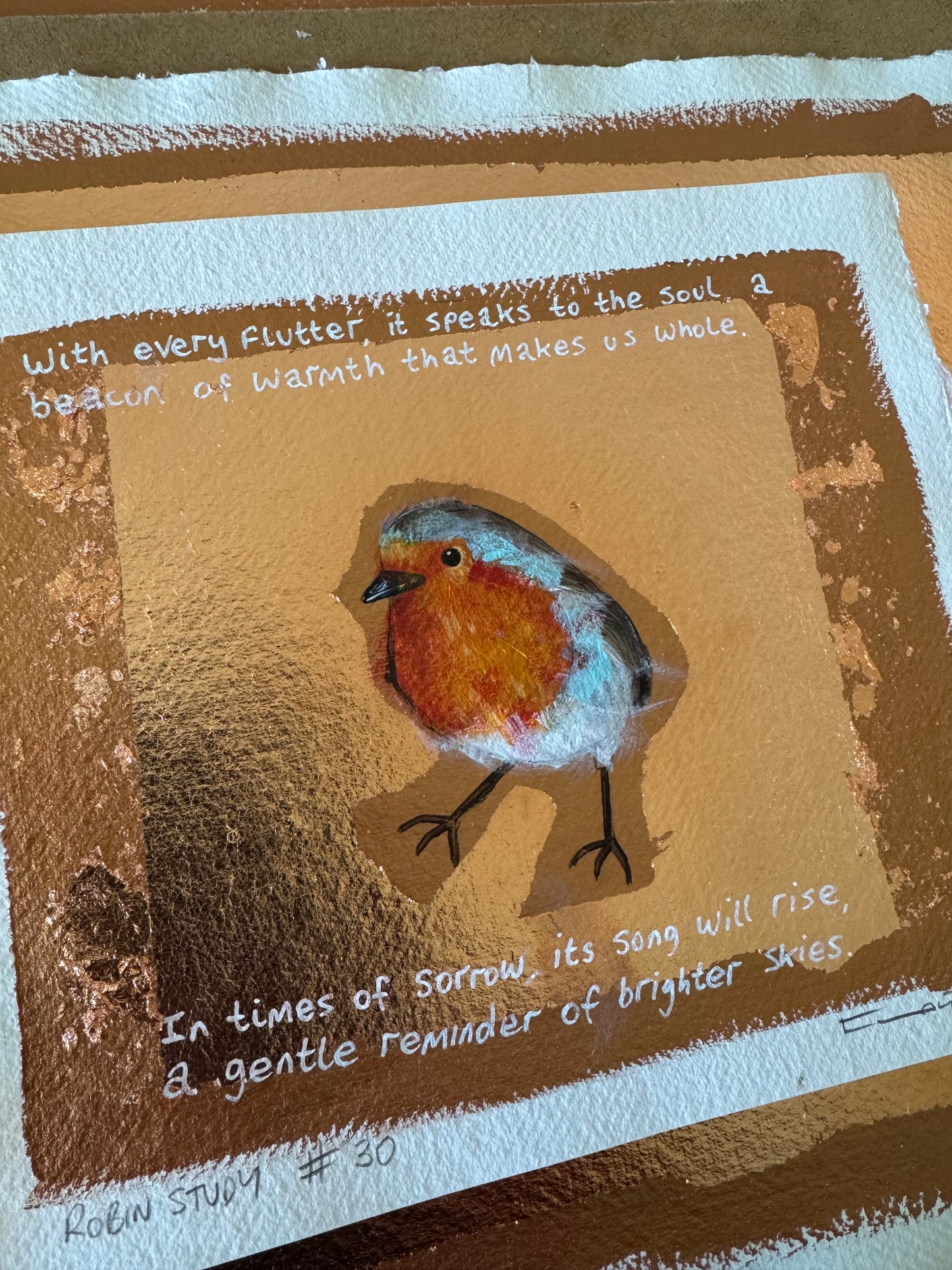 Robin study #30