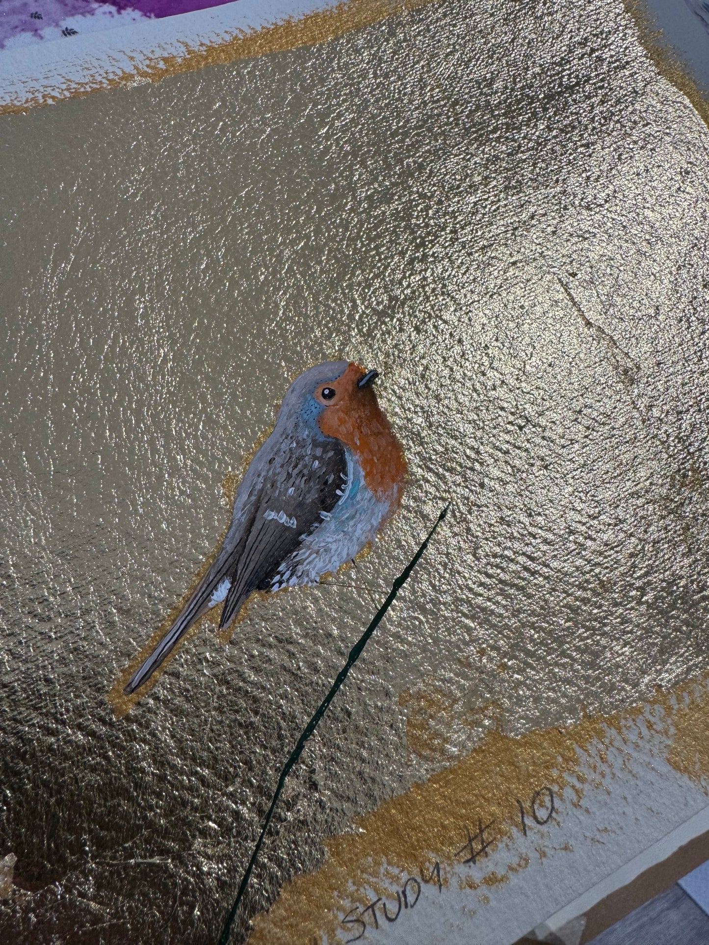 Robin study #10