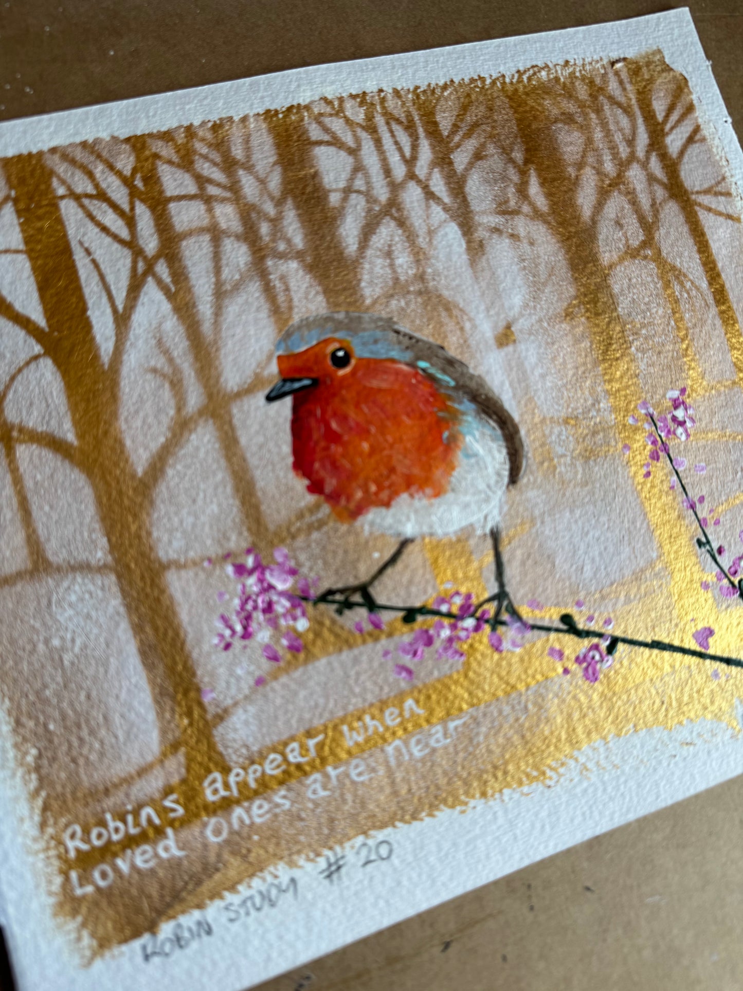 Robin study #20
