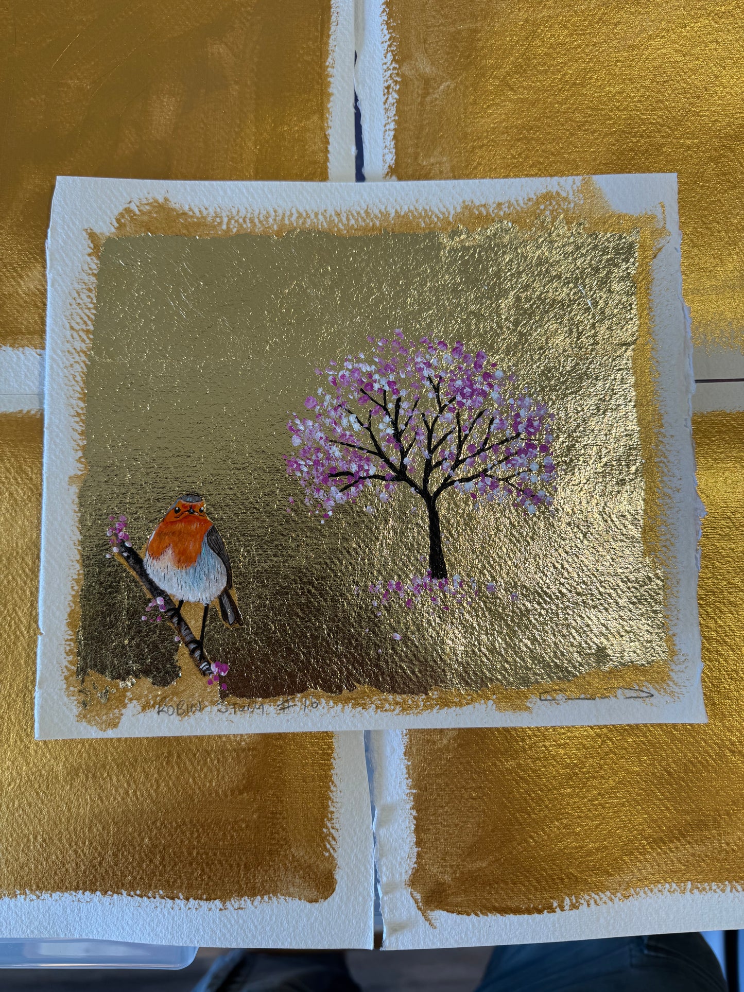 Robin study #16