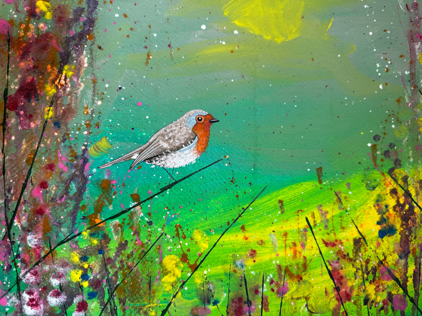 Robin study #2