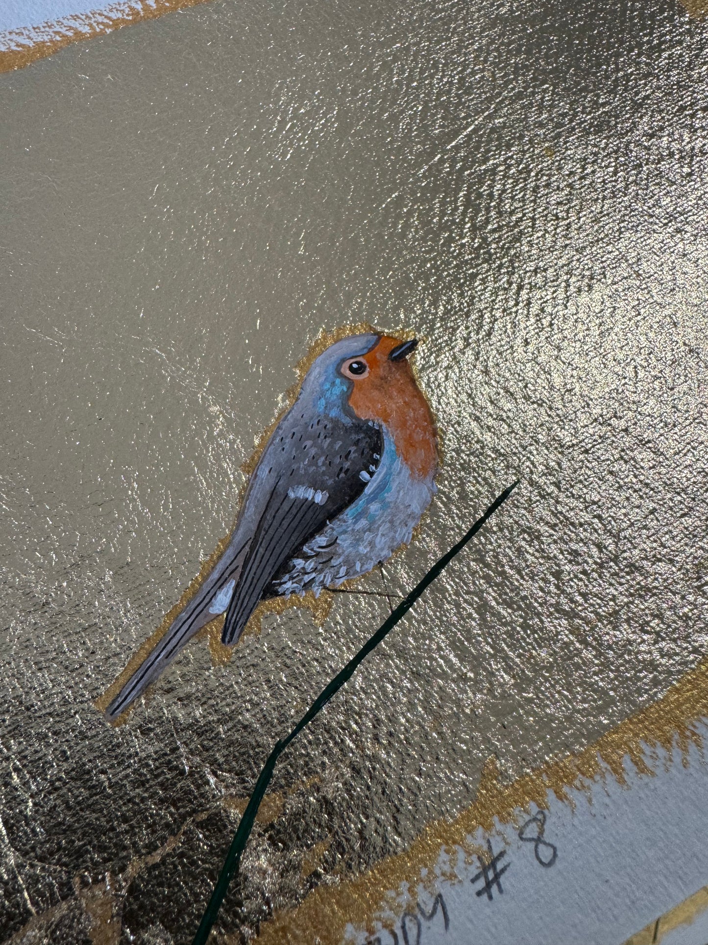 Robin study #7