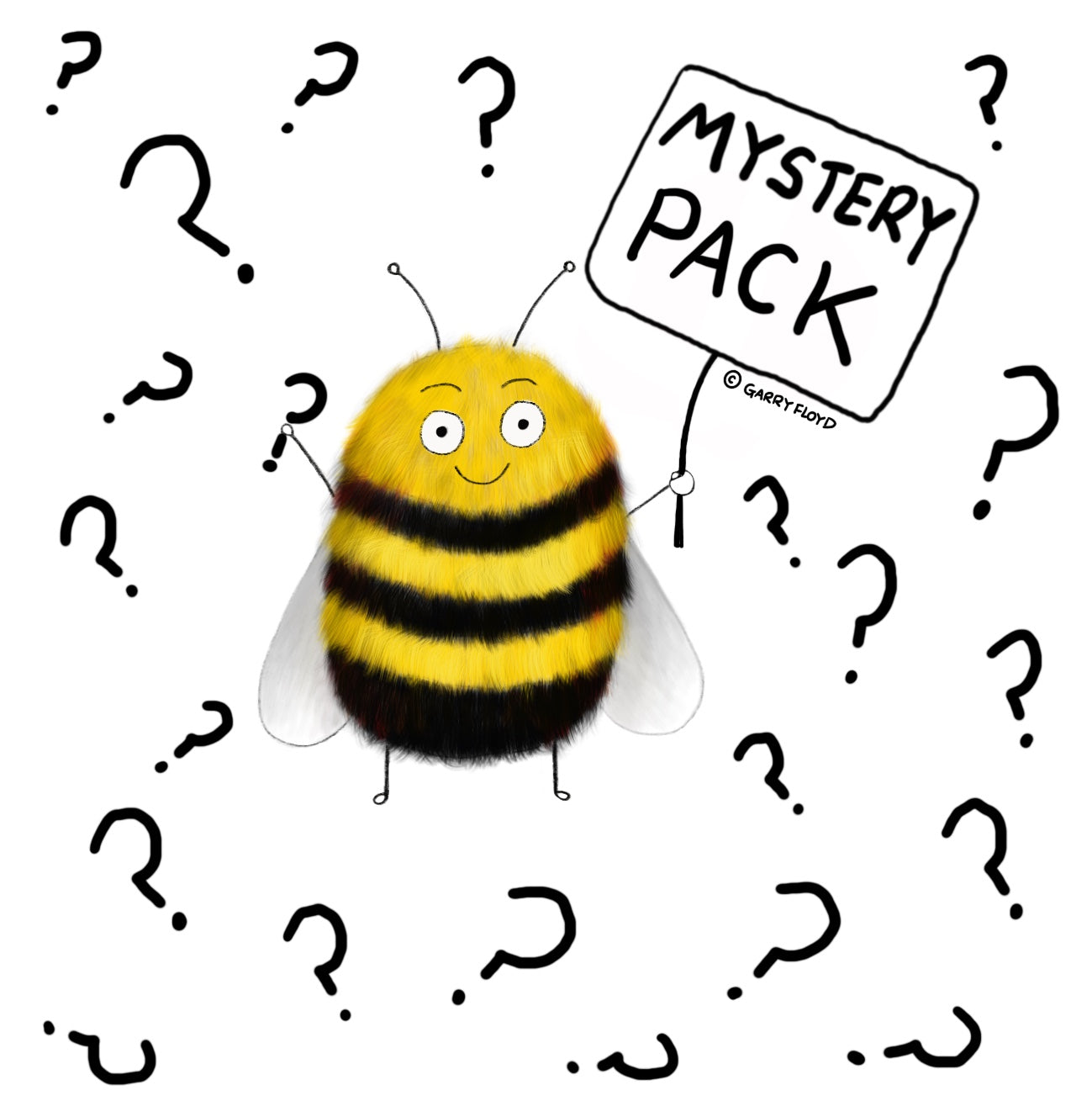 MYSTERY PACK
