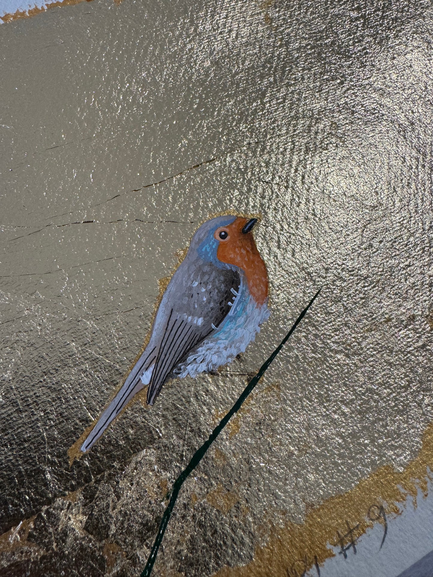 Robin study #9