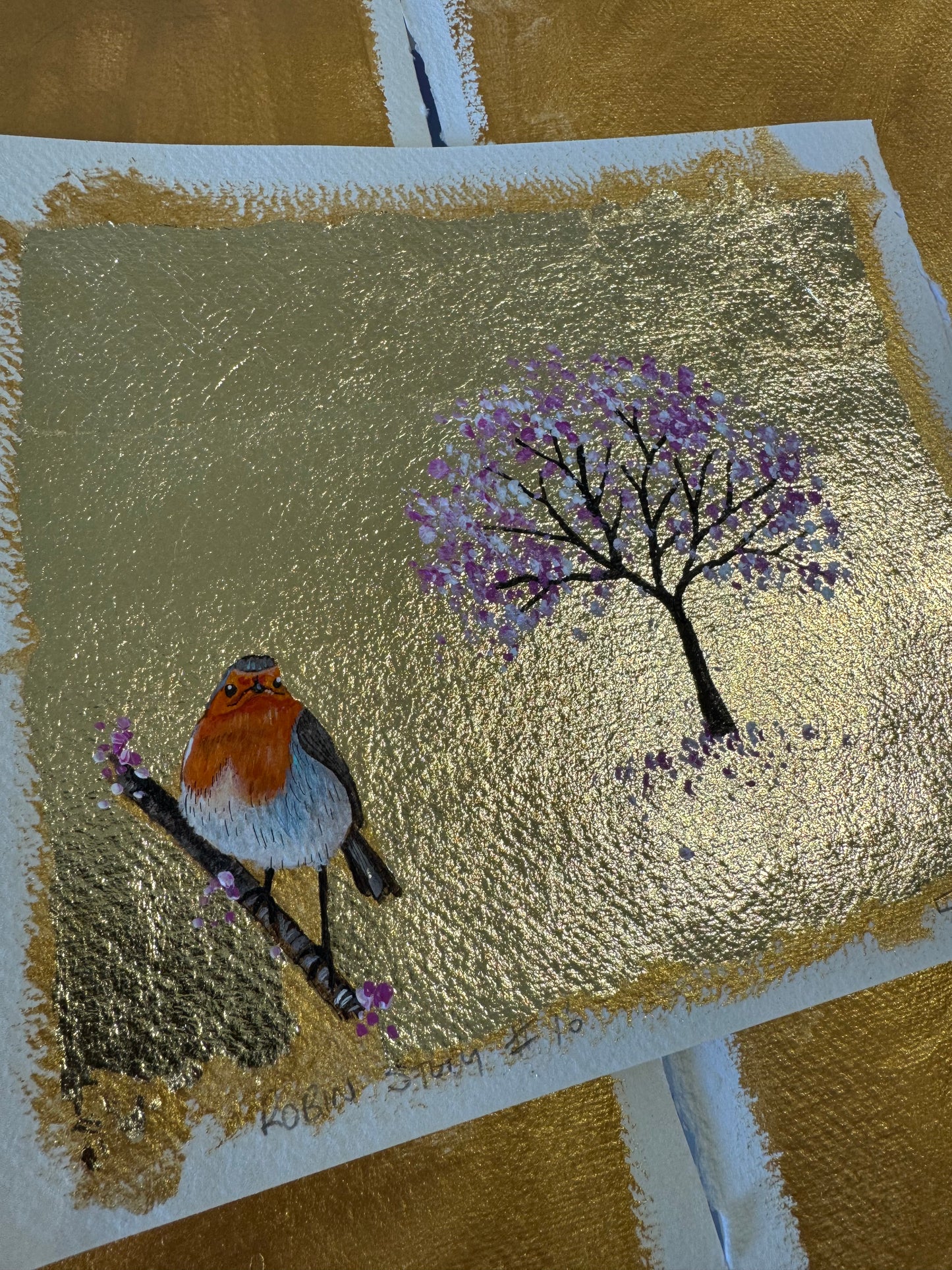 Robin study #16