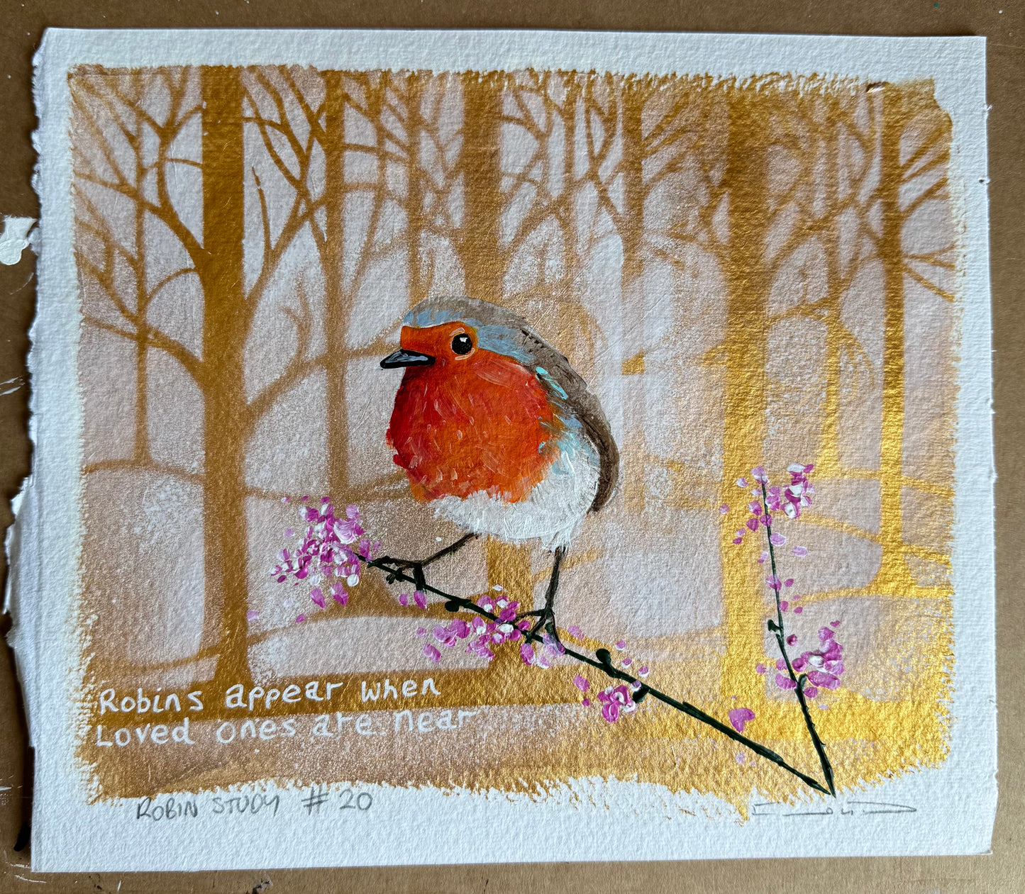 Robin study #20