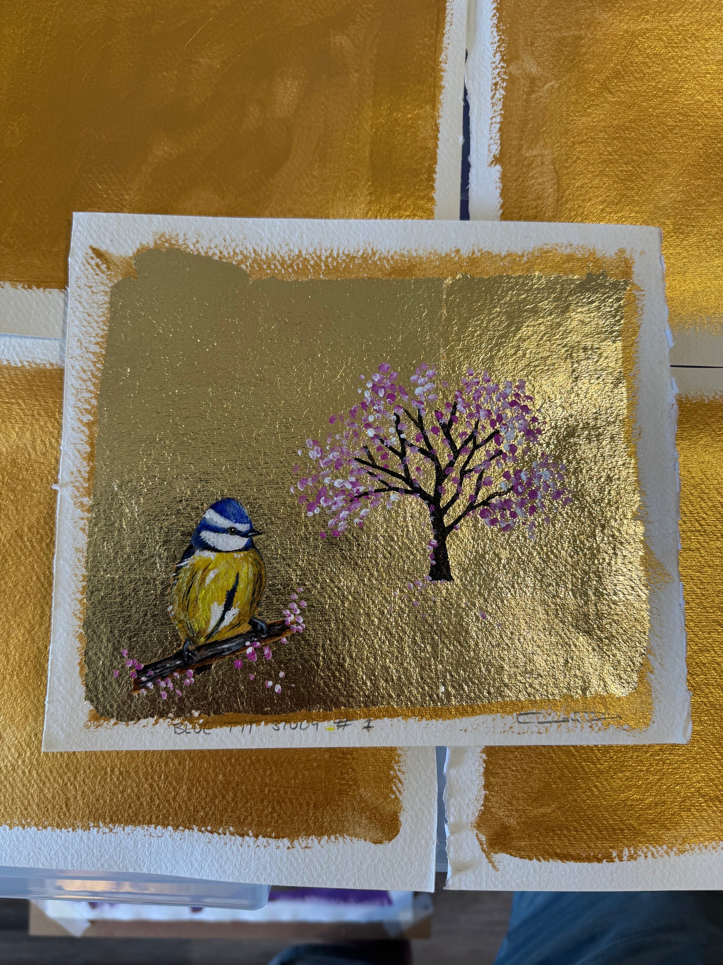 Blue Tit Study #1