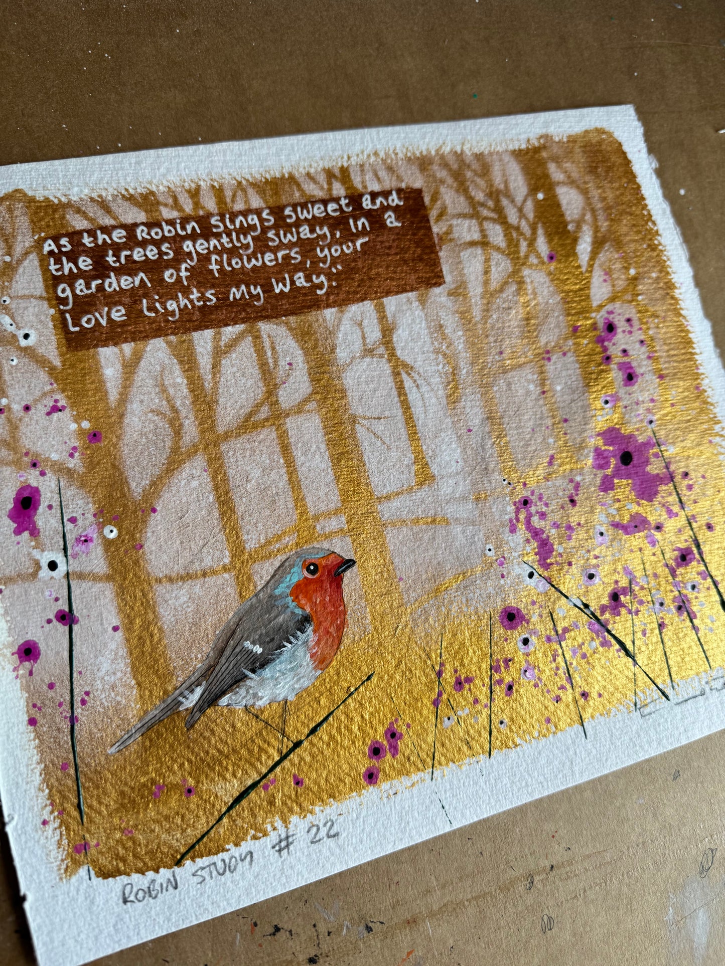 Robin study #22