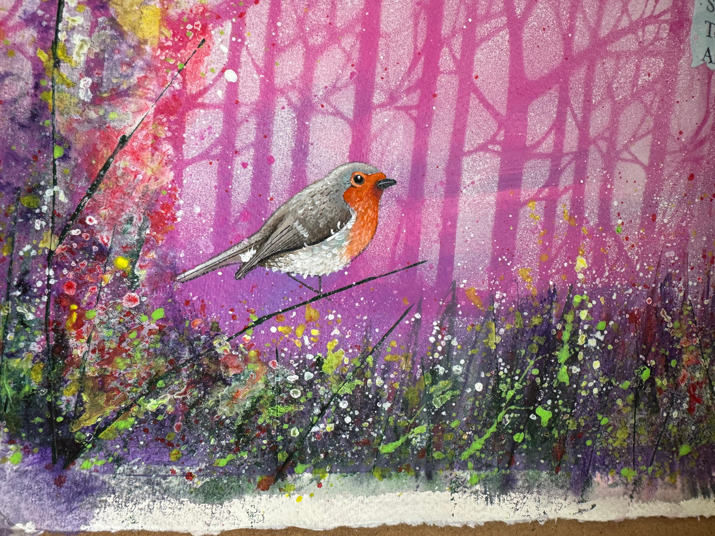 Robin study #12