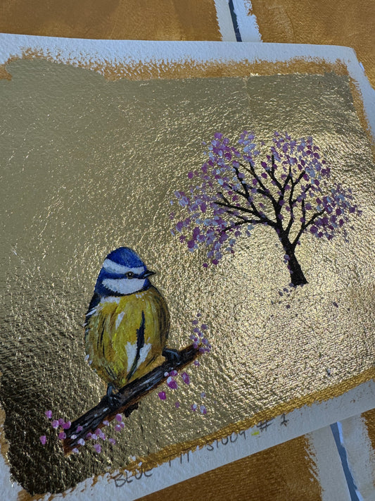 Blue Tit Study #1