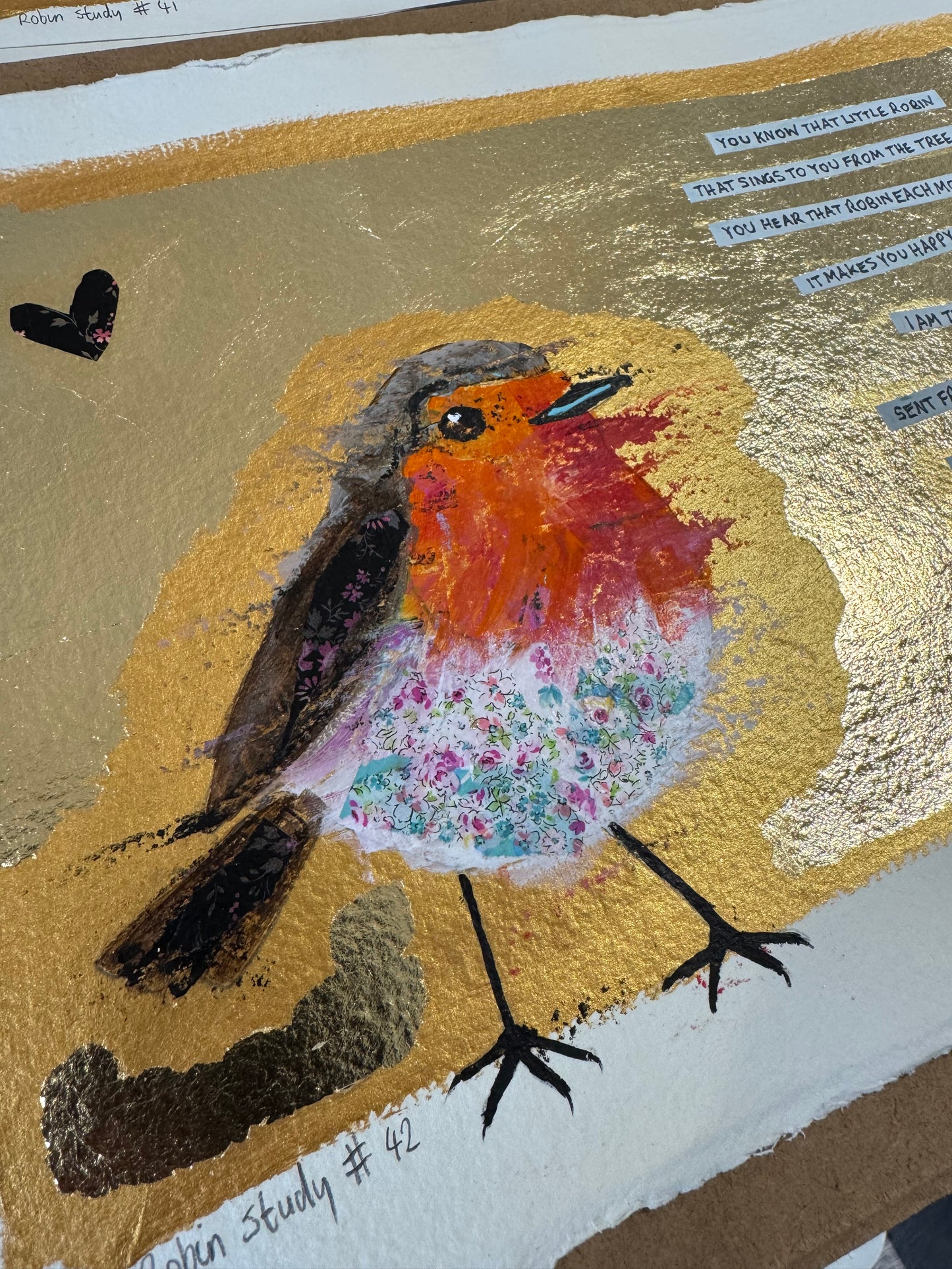 Robin study #42