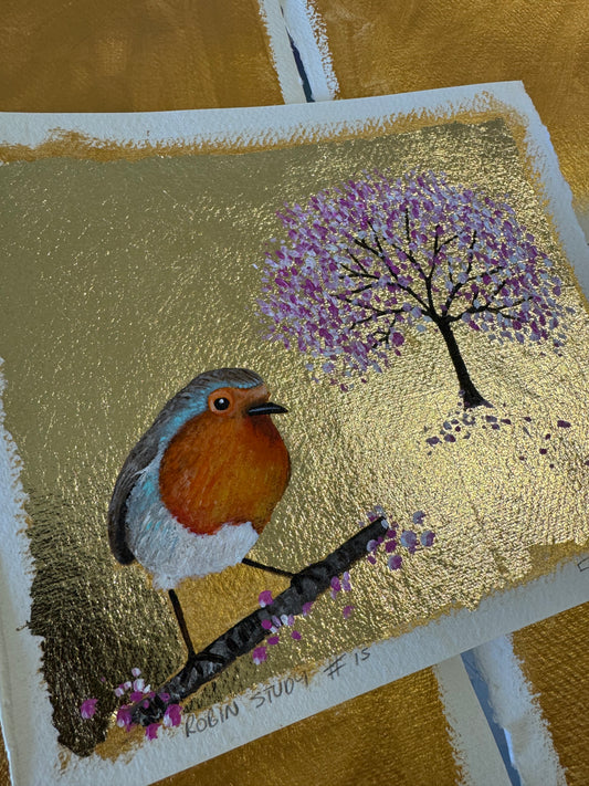 Robin study #15