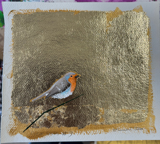 Robin study #9
