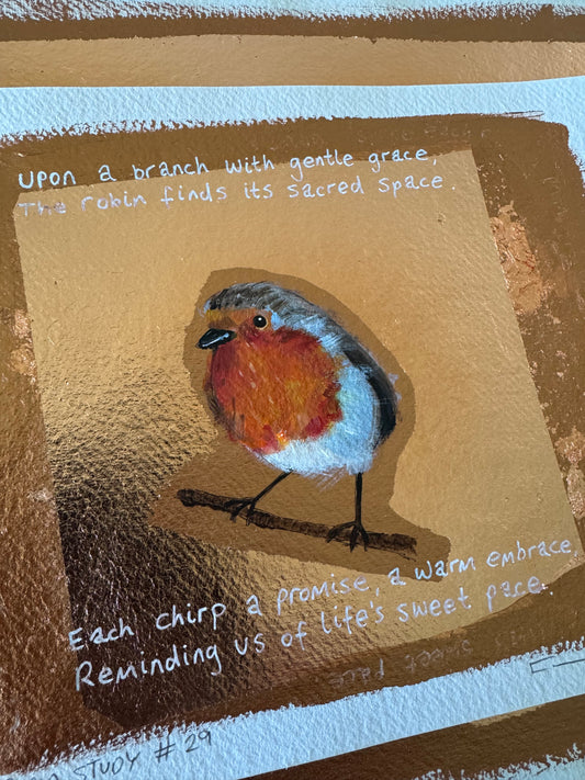 Robin study #29