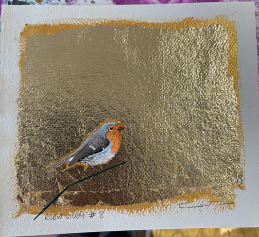 Robin study #8
