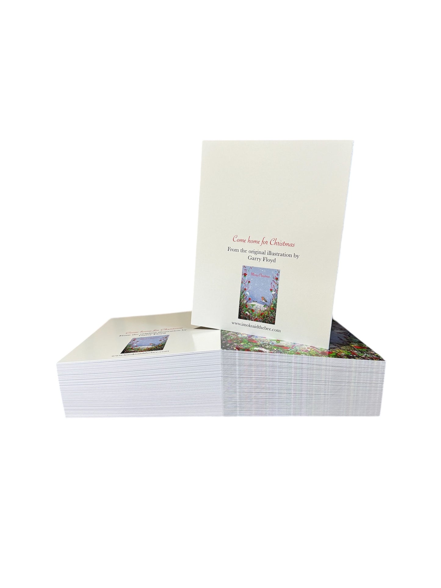 Come home for Christmas greeting card (pack of 5)
