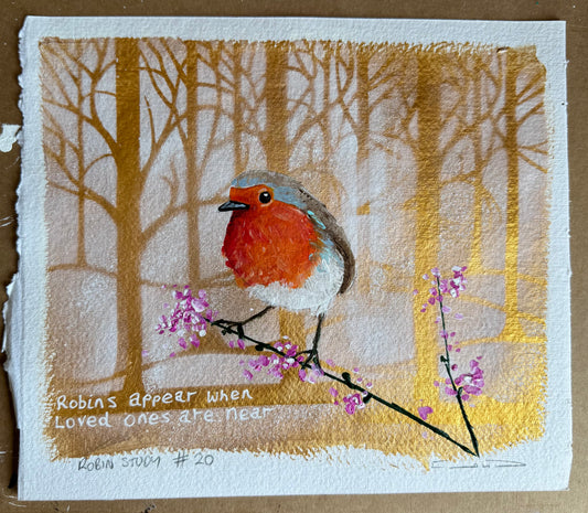 Robin study #20